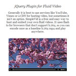 Responsive Video  - jQuery Plugin for Fluid Video