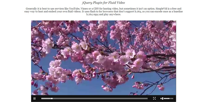 Responsive Video  - jQuery Plugin for Fluid Video