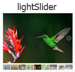 lightSlider -  A lightweight touchable responsive Content slider