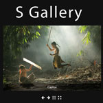 S Gallery - A Responsive jQuery Gallery