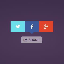 Share Button – Fast and Beautiful Social Share Buttons