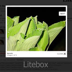 Litebox jQuery Plugin